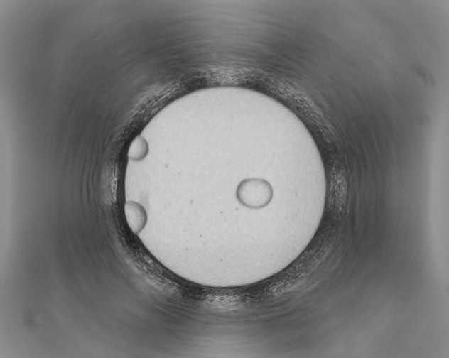 X0000111040694200908061457