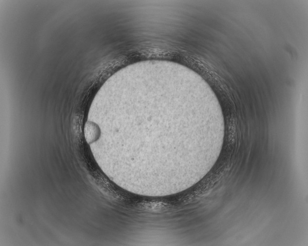 X0000111040695200908061457