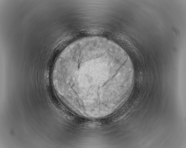 X0000111040696200908061457