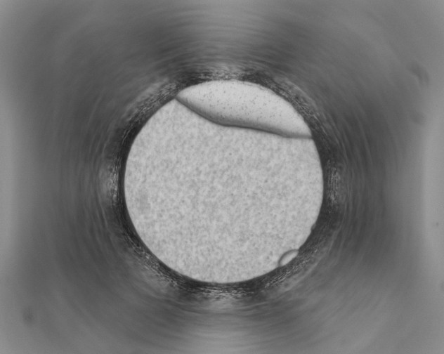 X0000111040697200908061457