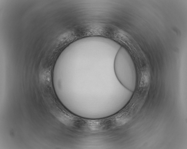 X0000111040701200908061457