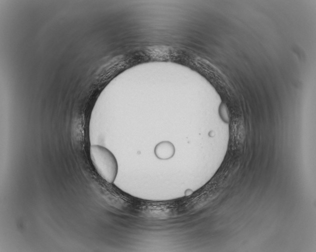 X0000111040702200908061457