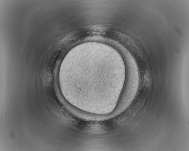 X0000111040704200908061457