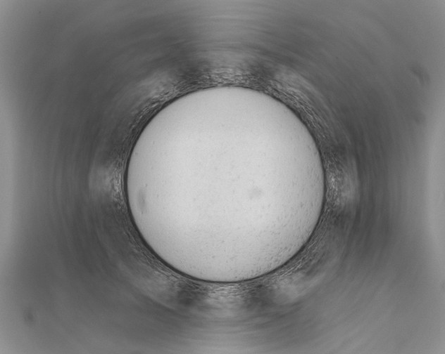 X0000111040705200908061457