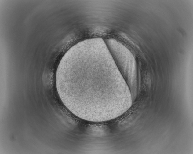 X0000111040708200908061457