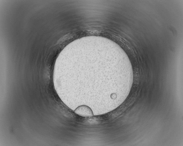 X0000111040710200908061457