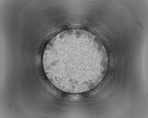 X0000111040711200908061457