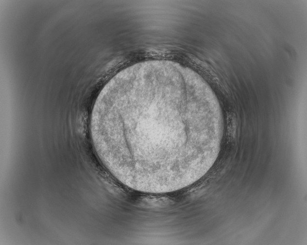 X0000111040712200908061457