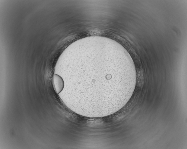 X0000111040714200908061456