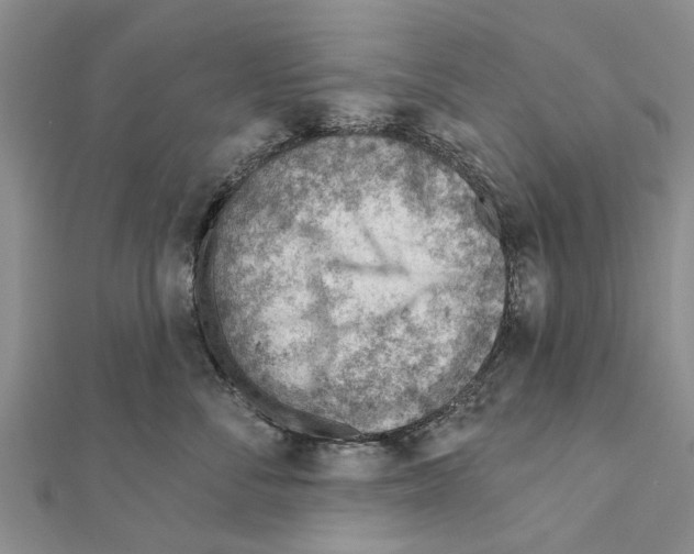 X0000111040716200908061456