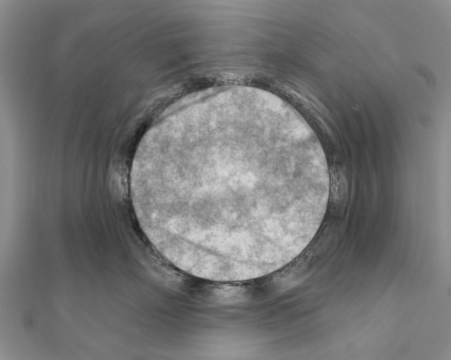 X0000111040718200908061456