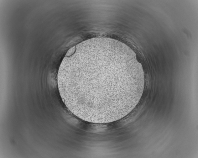 X0000111040719200908061456