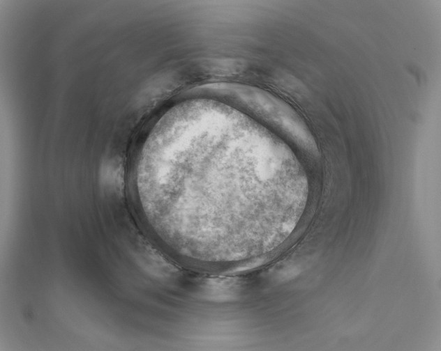 X0000111040720200908061456