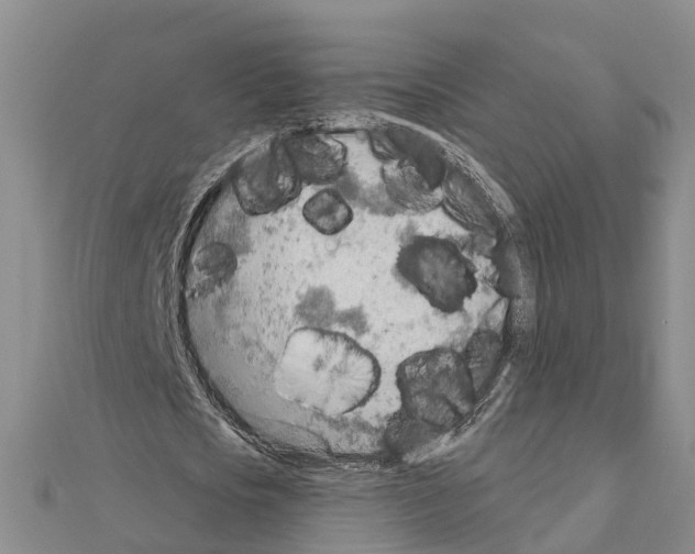 X0000111040721200908061456