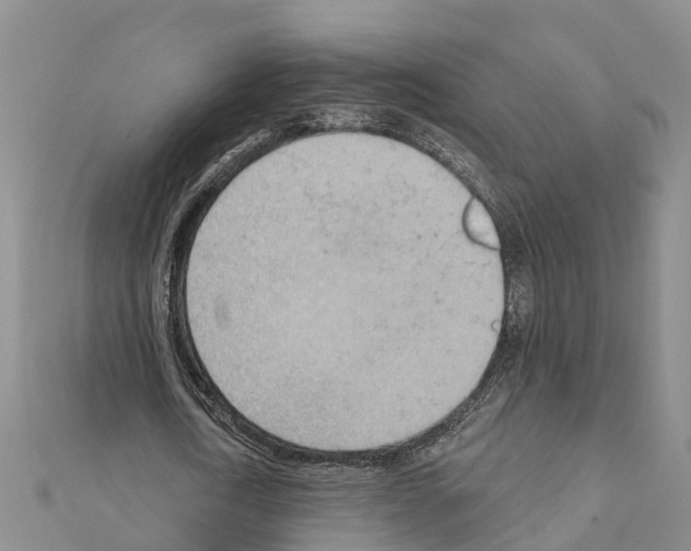 X0000111040722200908061456