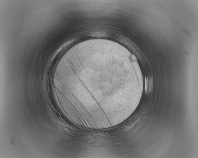 X0000111040723200908061456