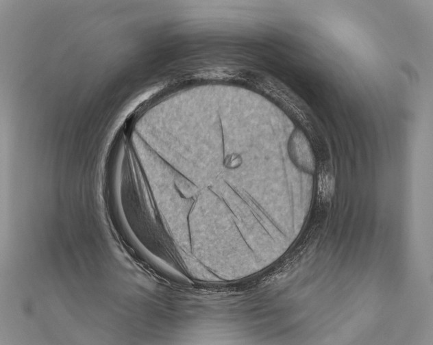 X0000111040724200908061456