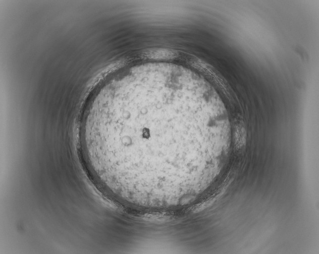 X0000111040725200908061456