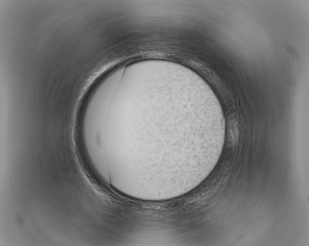 X0000111040728200908061456