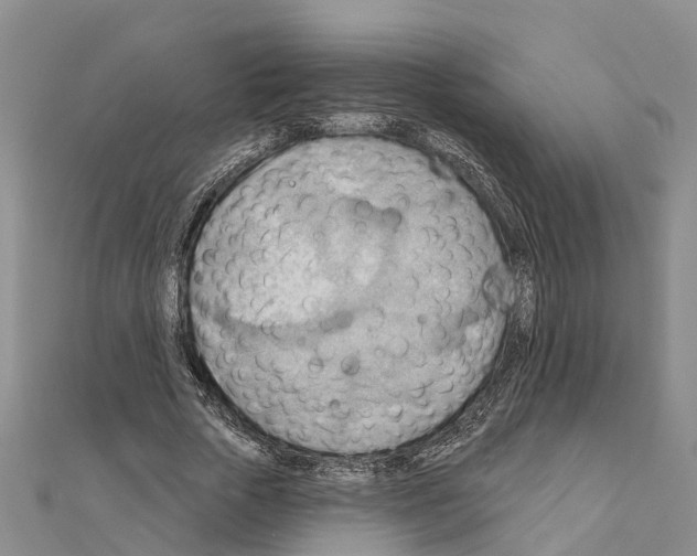 X0000111040729200908061456