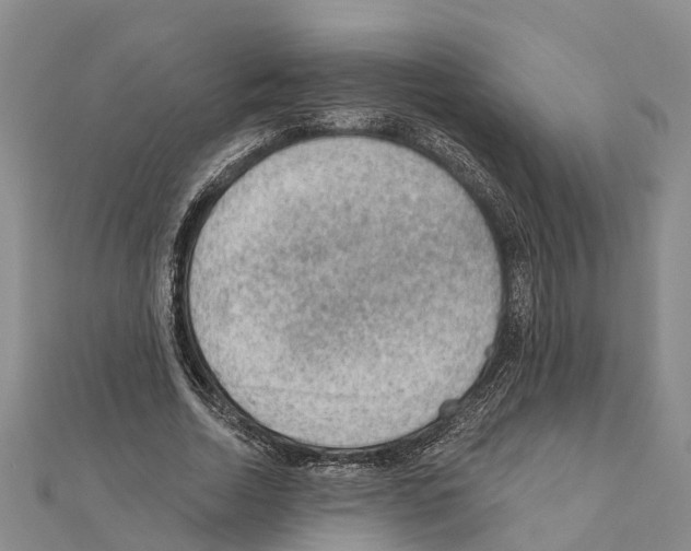 X0000111040730200908061456