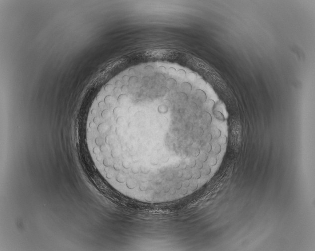 X0000111040734200908061456