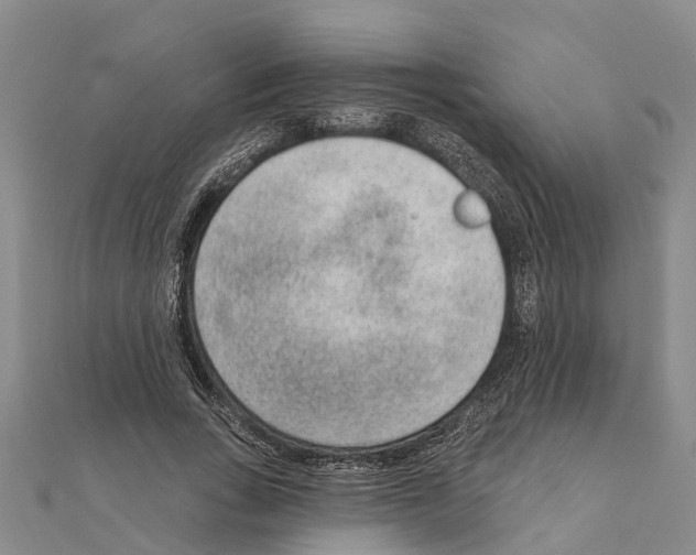 X0000111040735200908061456