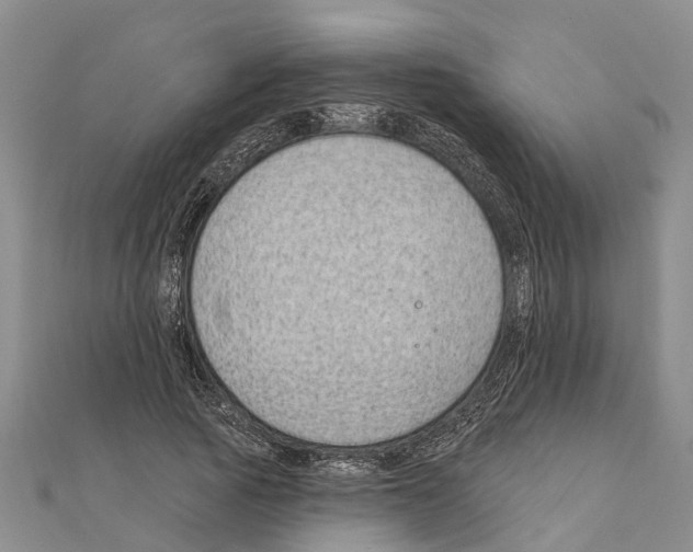 X0000111040737200908061456