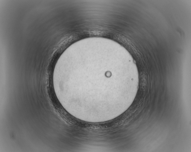 X0000111040738200908061456