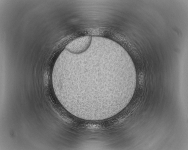 X0000111040741200908061456