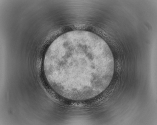 X0000111040742200908061456