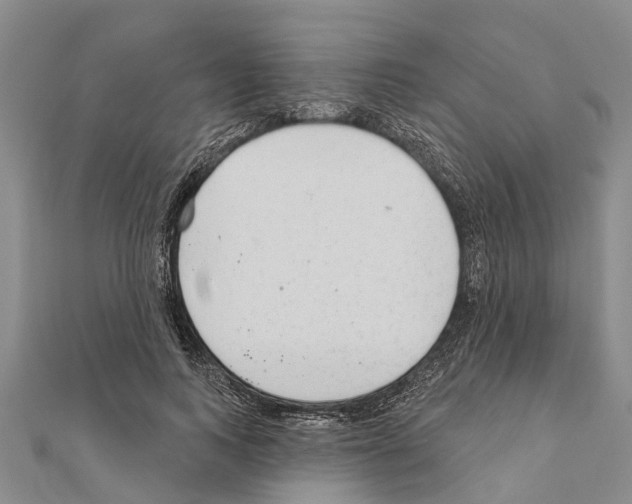 X0000111040743200908061456