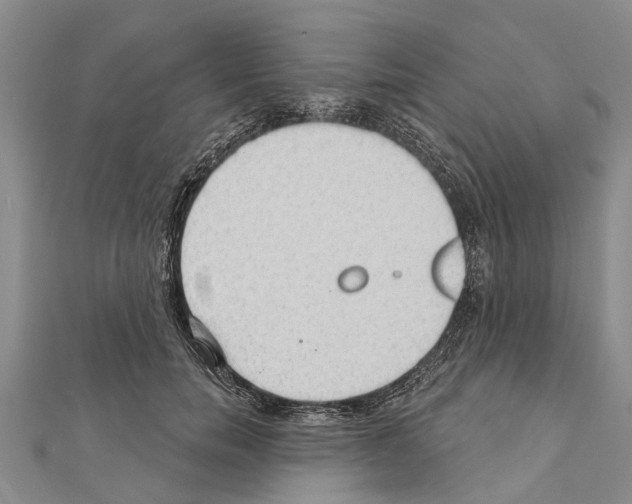 X0000111040750200908061456