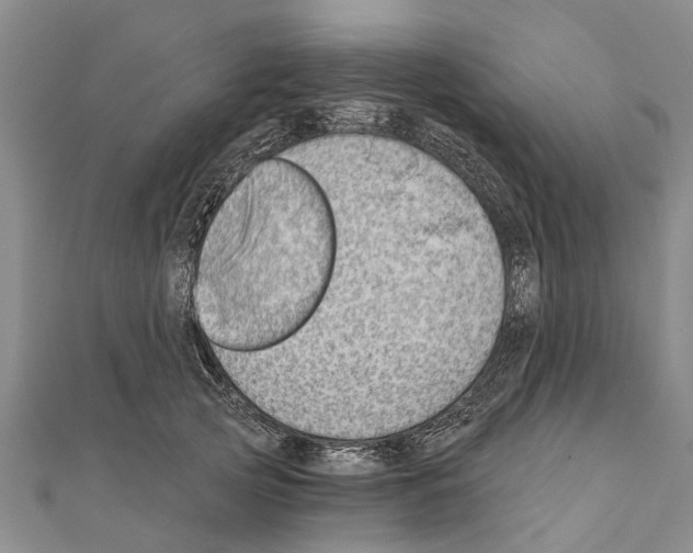 X0000111040753200908061456