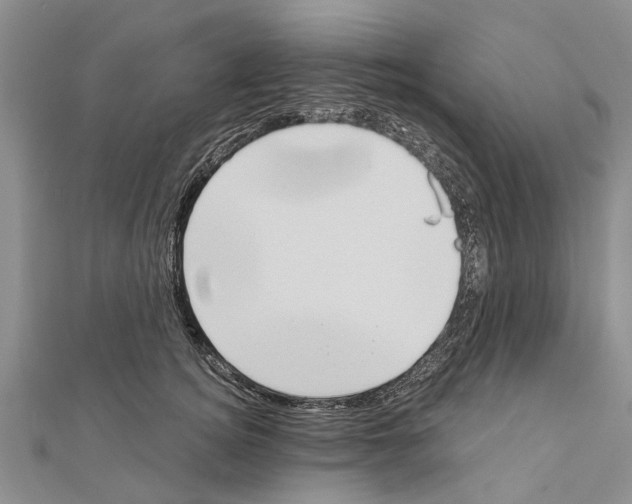 X0000111040756200908061456