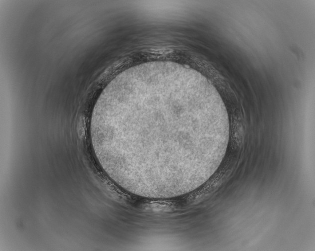 X0000111040758200908061456