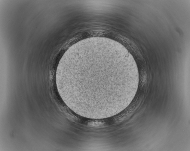 X0000111040759200908061456