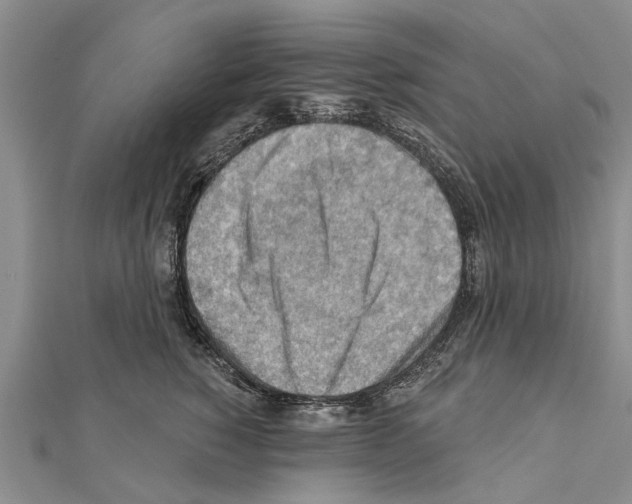 X0000111040760200908061456