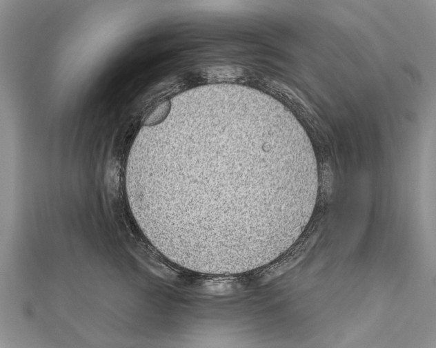 X0000111040761200908061456