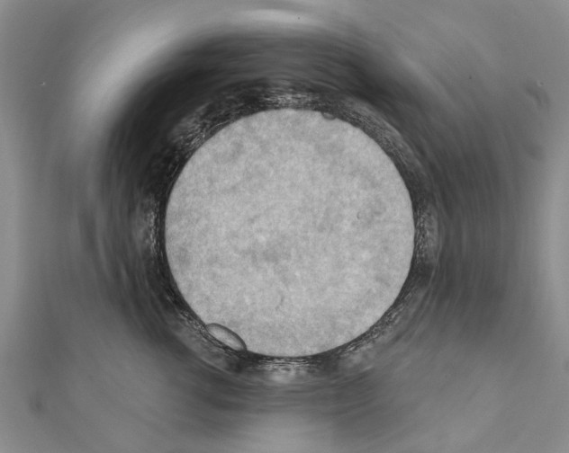 X0000111040762200908061456