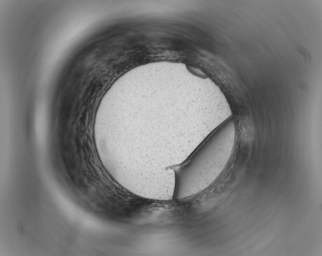 X0000111040764200908061456