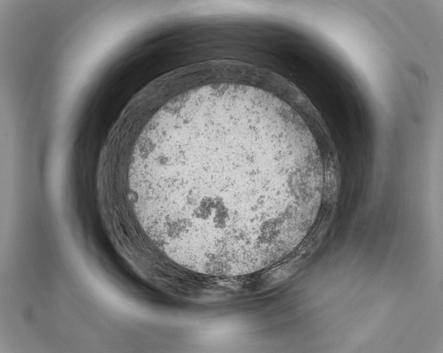 X0000111040765200908061456