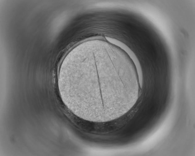 X0000111040766200908061456