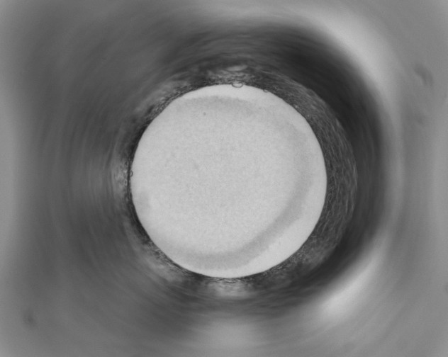 X0000111040767200908061456