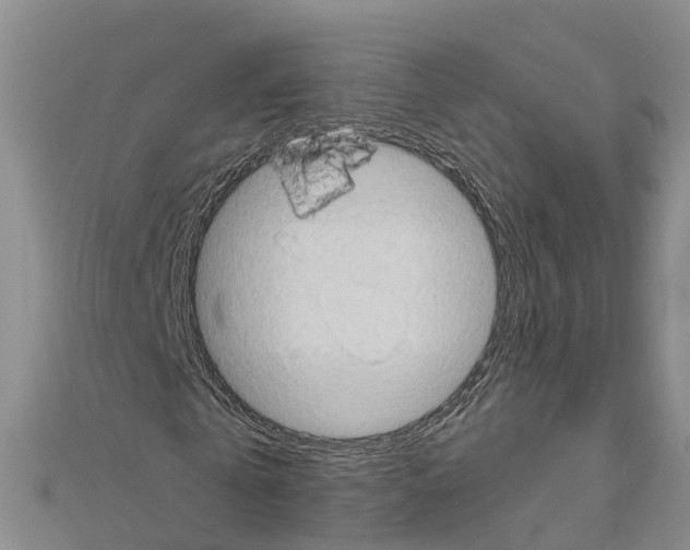 X0000111040769200908061456