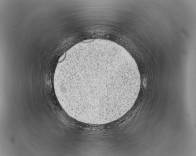 X0000111040771200908061456