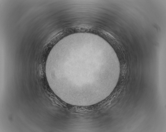 X0000111040774200908061456