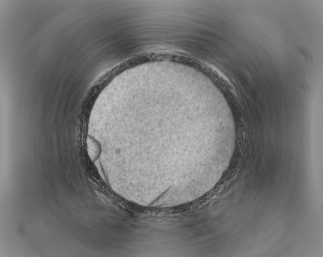 X0000111040775200908061456