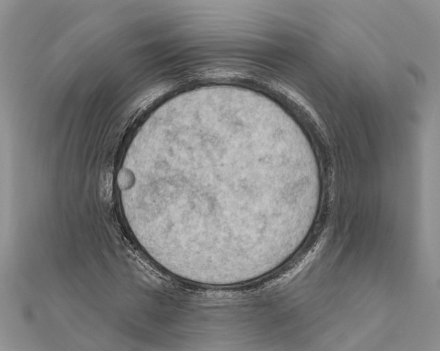 X0000111040777200908061456