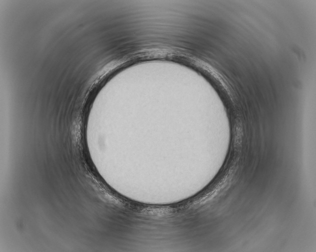 X0000111040778200908061456